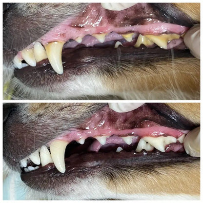Pet Teeth Cleaning Spray
